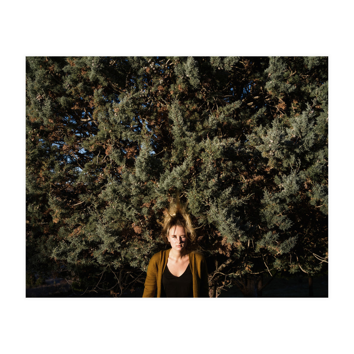 Autumn Portrait (Print Only)