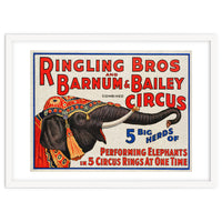 Ringling Bros & Barnum Bailey Circus Advertisement