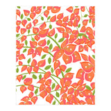 Bougainvillea Blush (Print Only) thumbnail