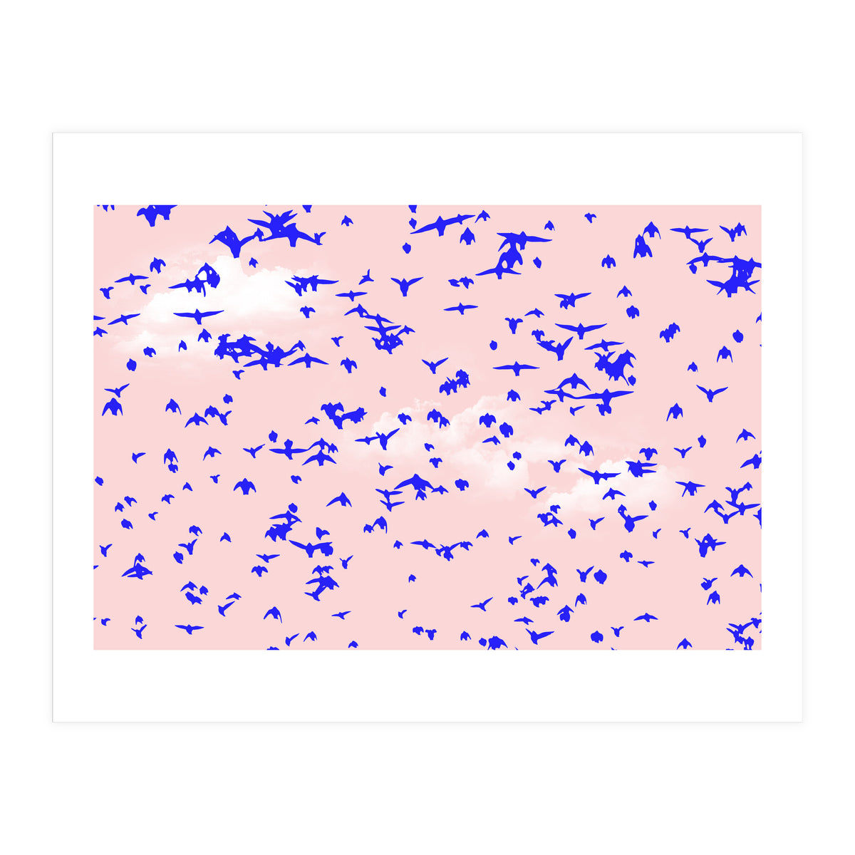 The Right To Fly (Print Only)