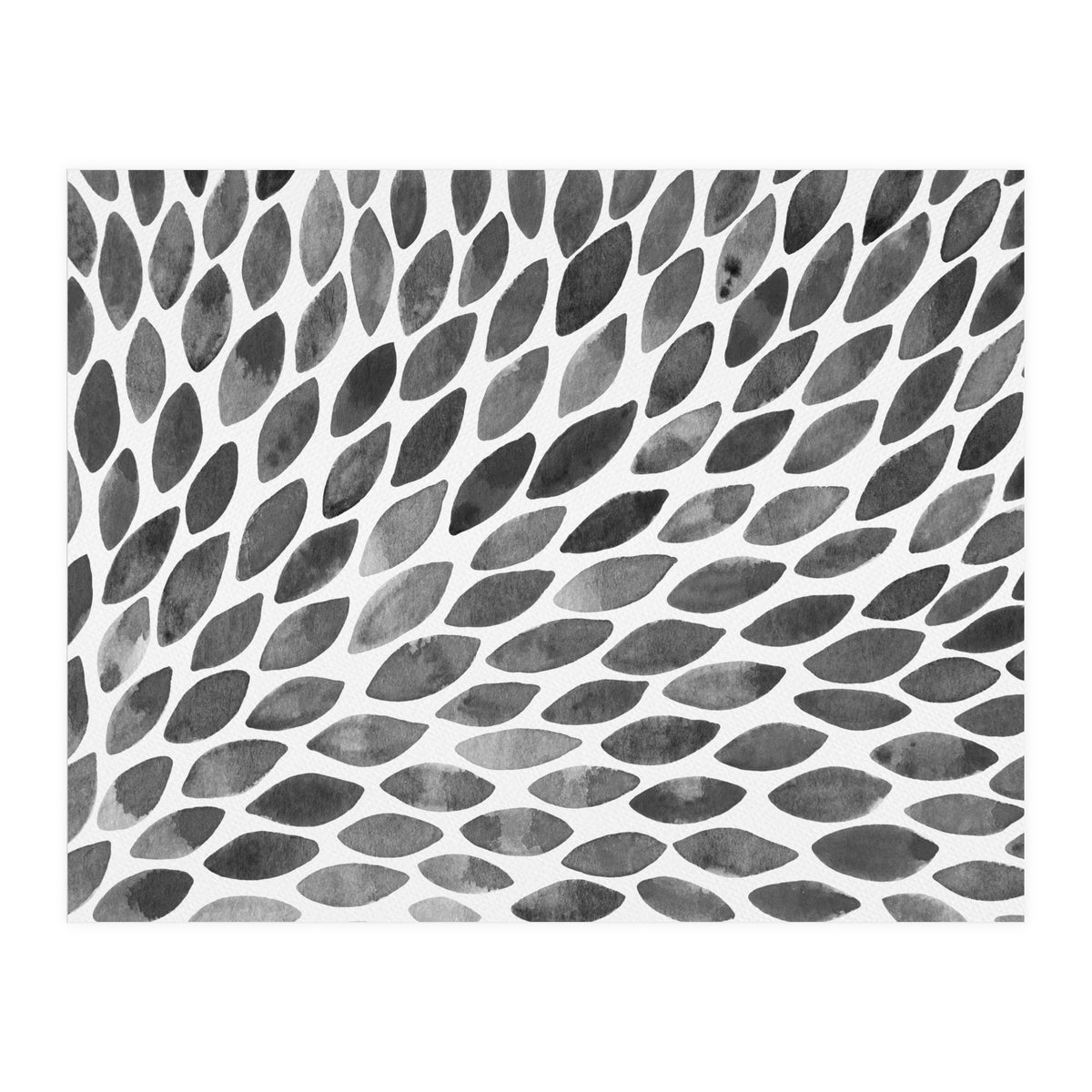 Black and white petal burst (Print Only)