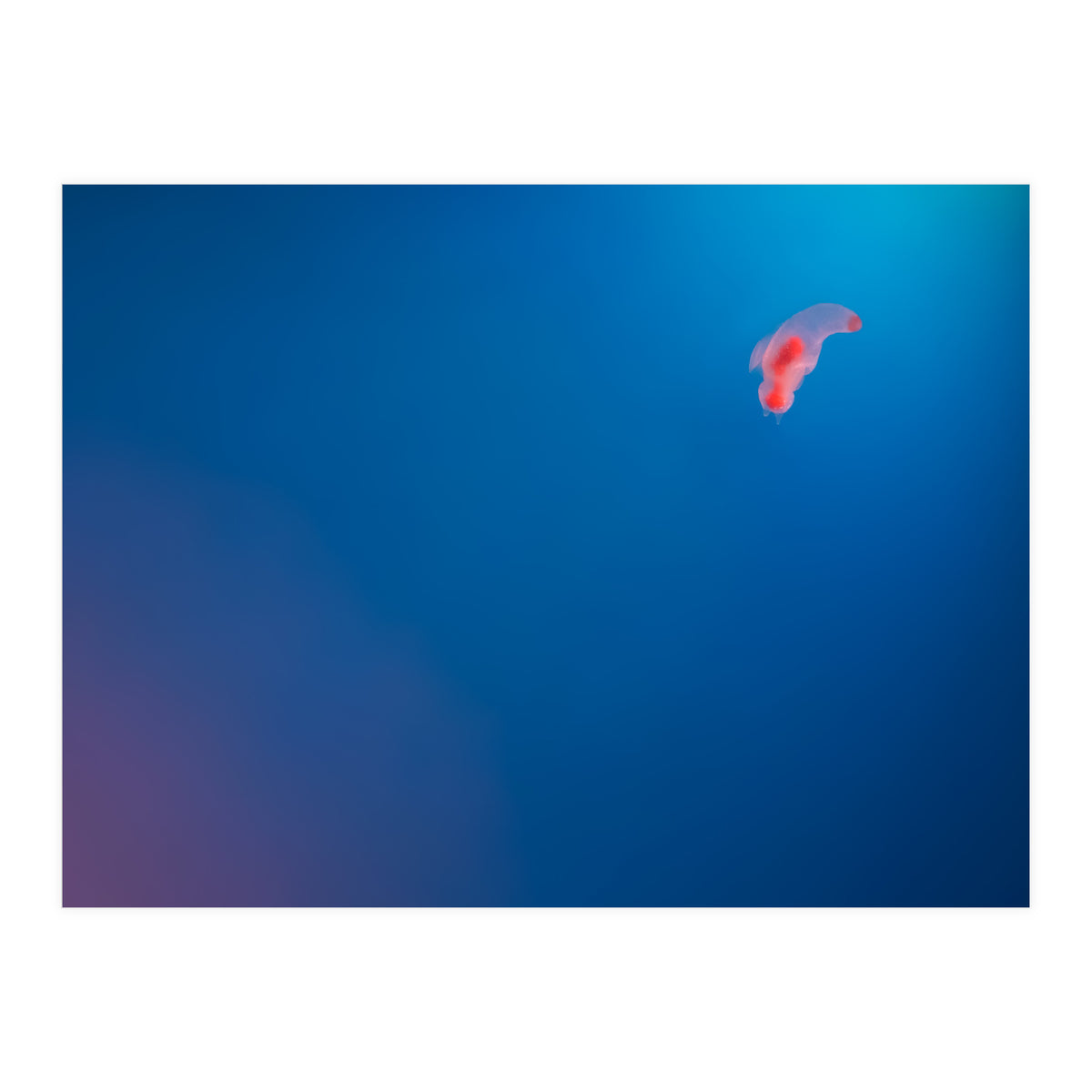 Absolute Zero (Print Only)