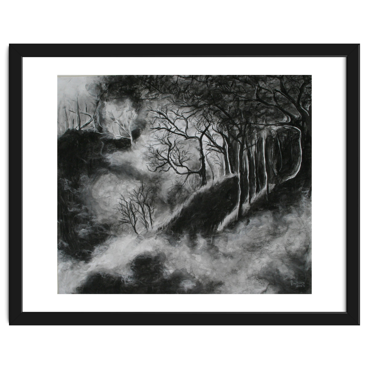 Black and White Forest in Clouds