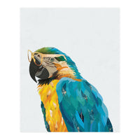 Macaw Portrait wearing gold glasses (Print Only)