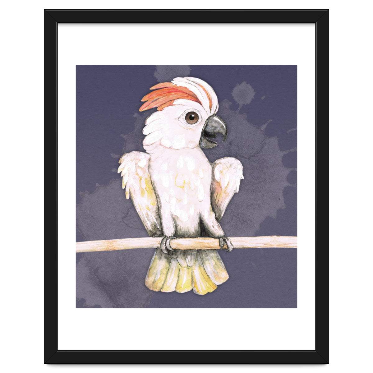 Salmon-crested cockatoo