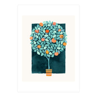 Orange Tree At Midnight (Print Only)