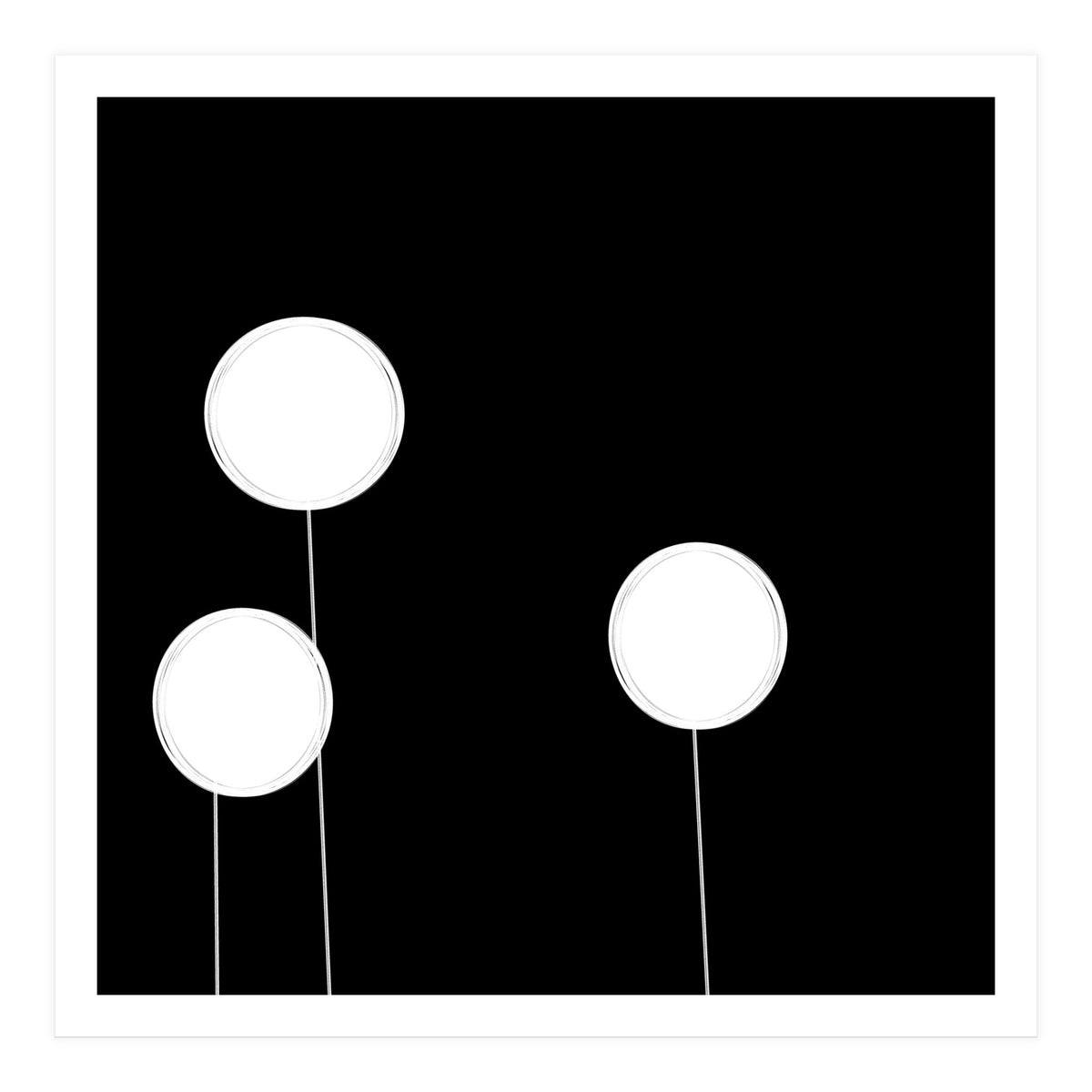 Dandelions (Print Only)