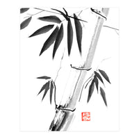 Bamboos 06 (Print Only)
