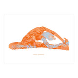Parivrtta Janu Sirsasana | Revolved Head to Knee Pose (Print Only) thumbnail