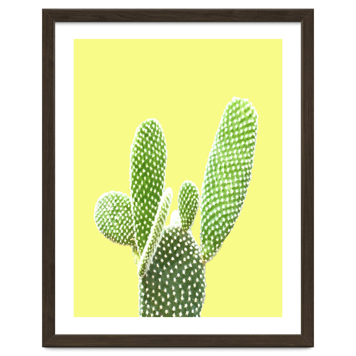 Cactus Yellow Background