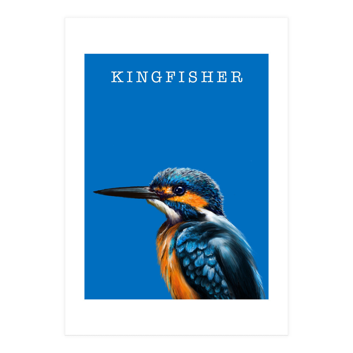 Kingfisher (Print Only)