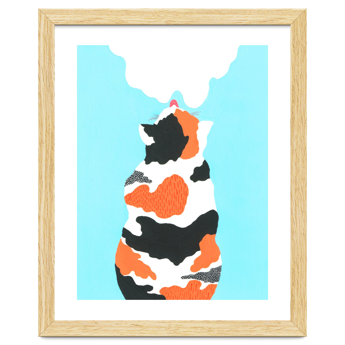 Tri Colored Calico Cat