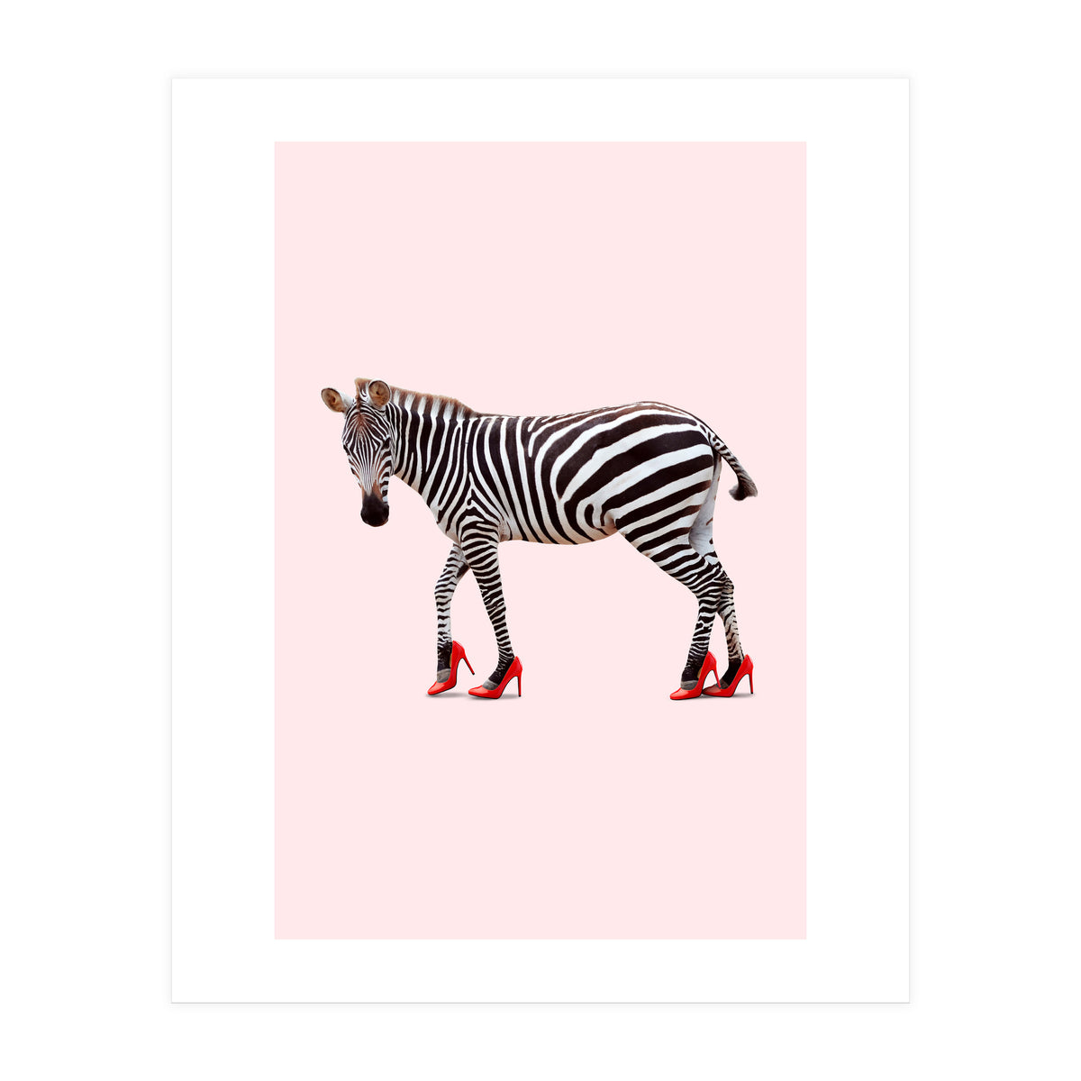 Zebra Heels (Print Only)
