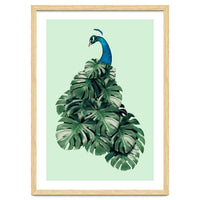 Monstera Bird