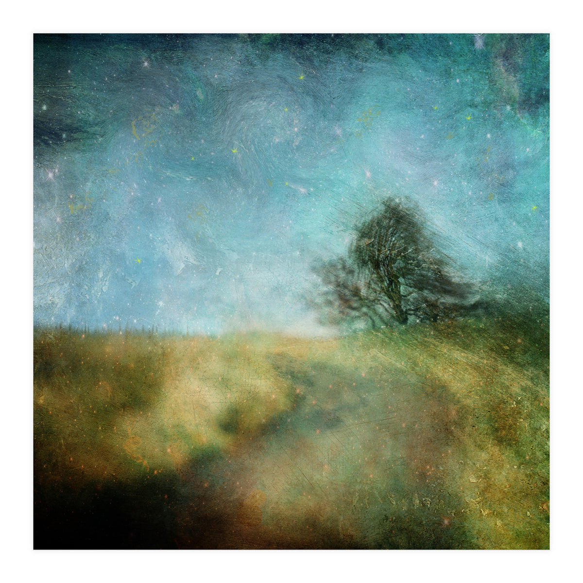 Dancing In The Wind (Print Only)