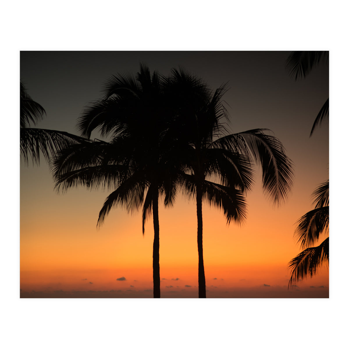 Mexico, November nights (Print Only)