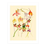 Orchids #1 (Print Only) thumbnail