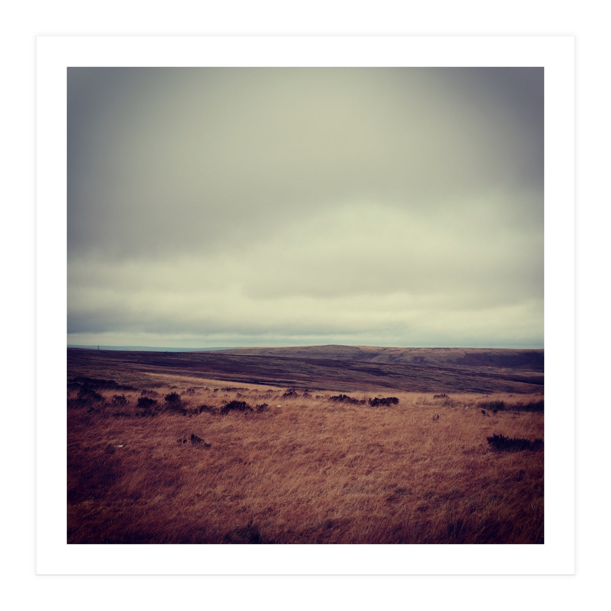 Bleak winter landscape of Saddleworth Moor  (Print Only)
