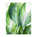 Tropic Abstract (Print Only) thumbnail
