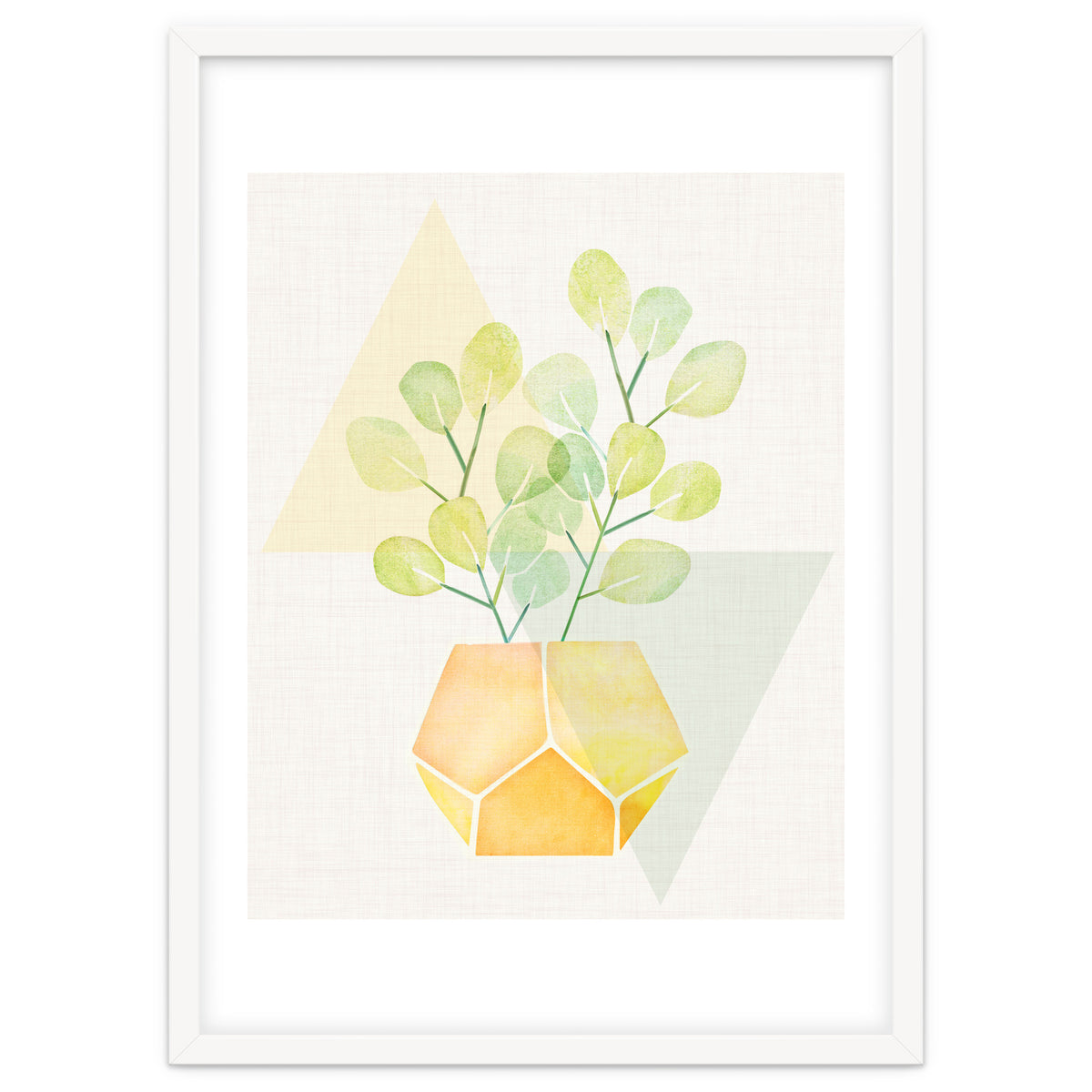 Geometry and House Plant