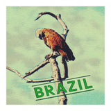Eagle in Brazil (Print Only) thumbnail