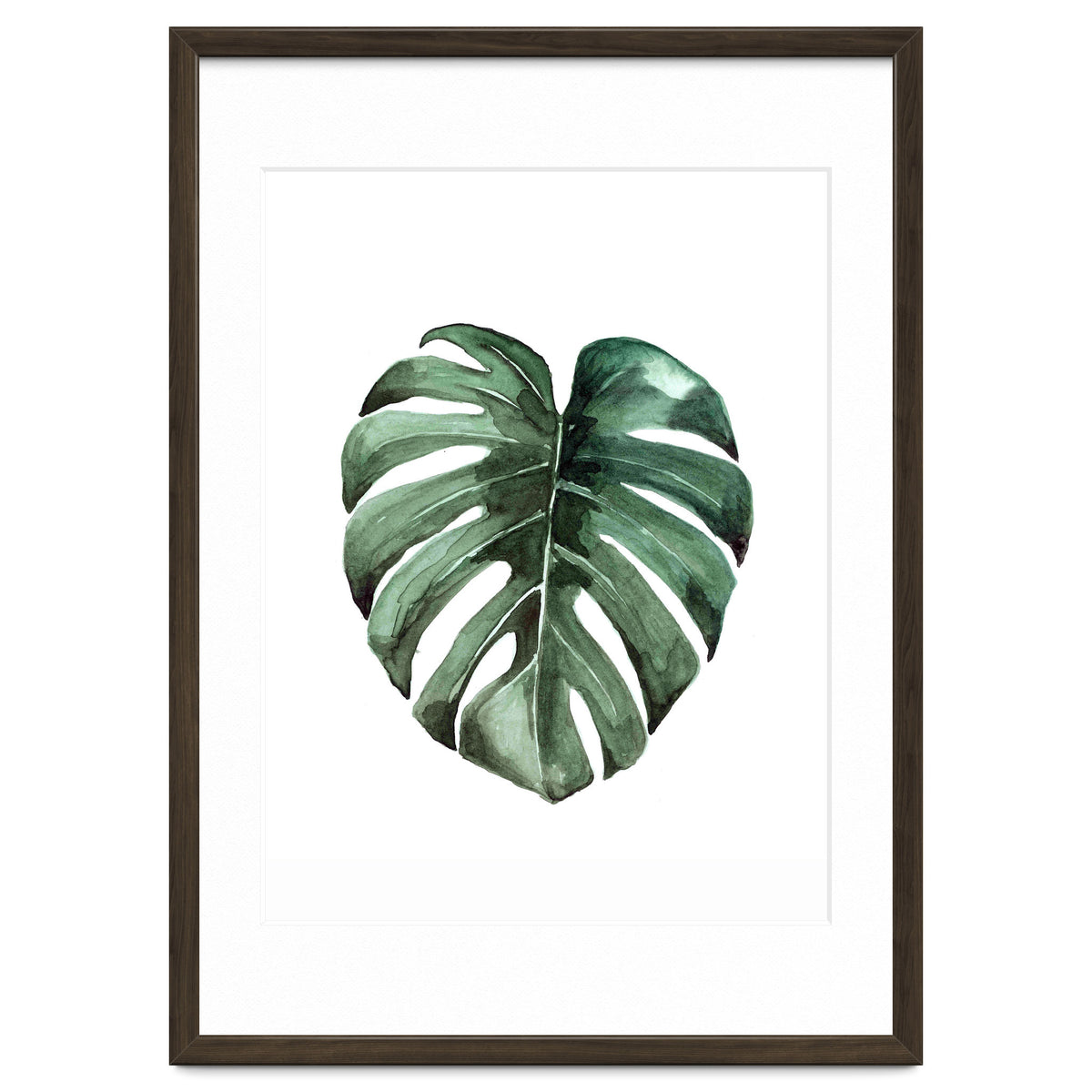 Botanical Illustration Monstera Deliciosa
