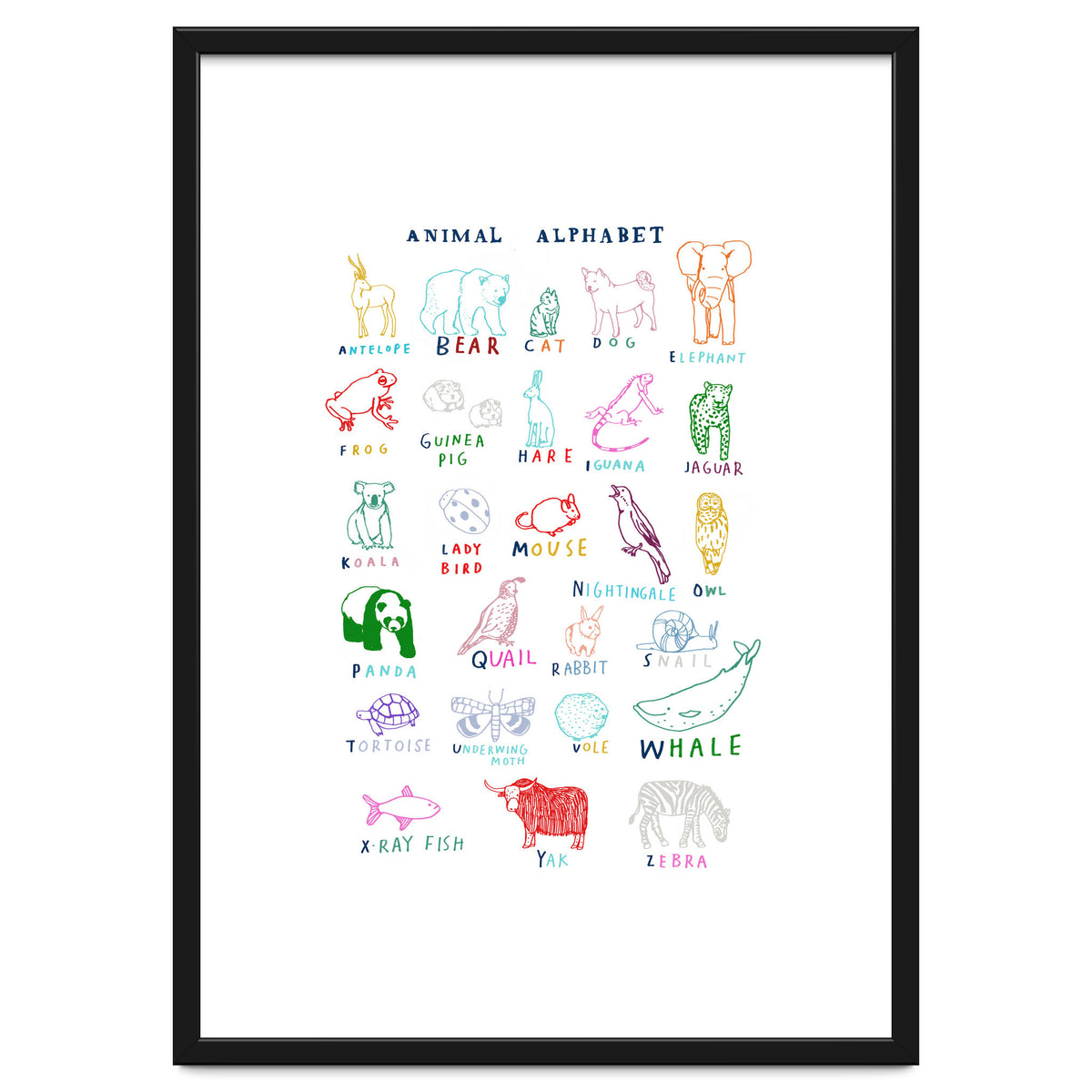 ABC Animals