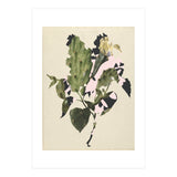 The First Plant · E3 (Print Only) thumbnail