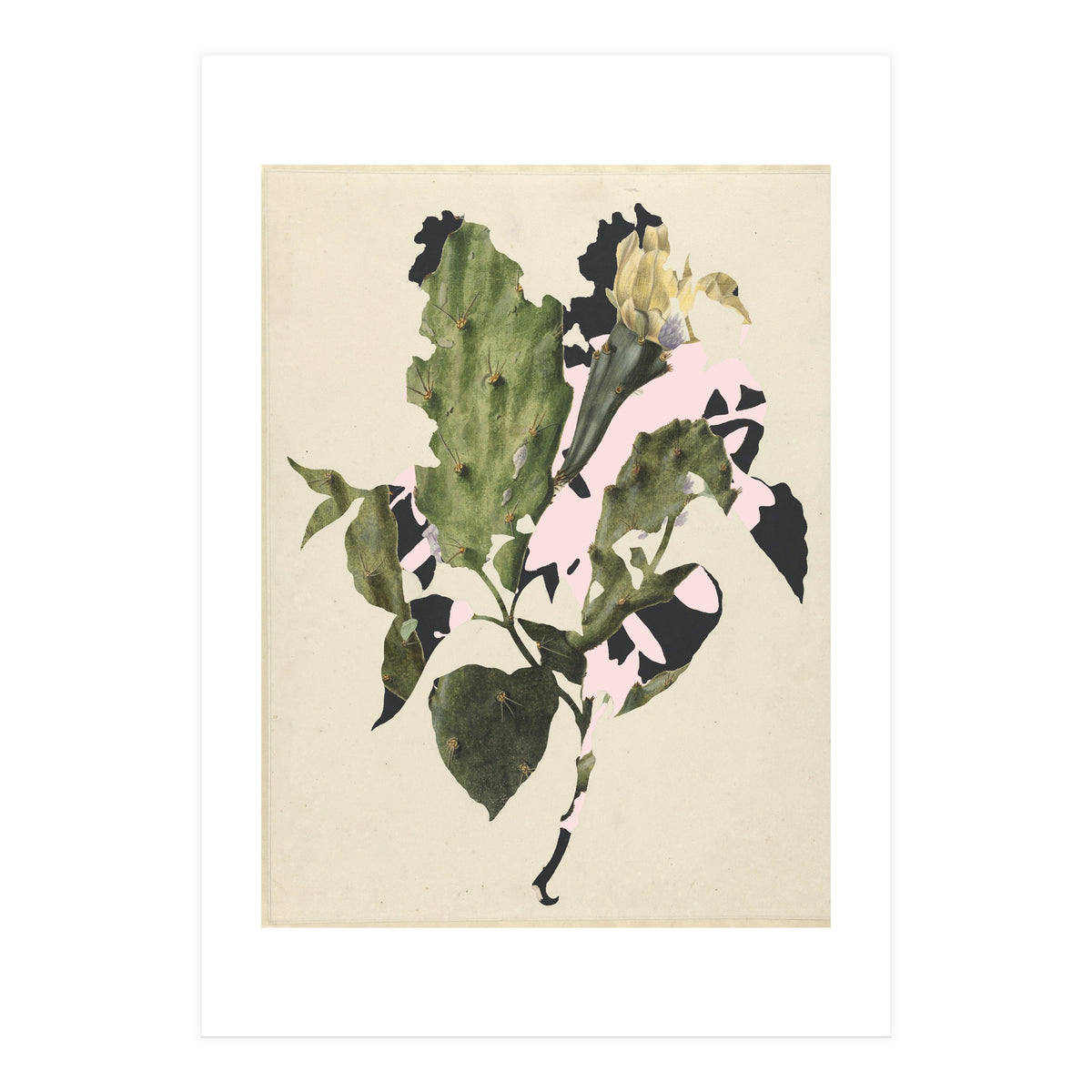 The First Plant · E3 (Print Only)