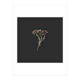 Gold Burst Botanicals - Square (Print Only) thumbnail