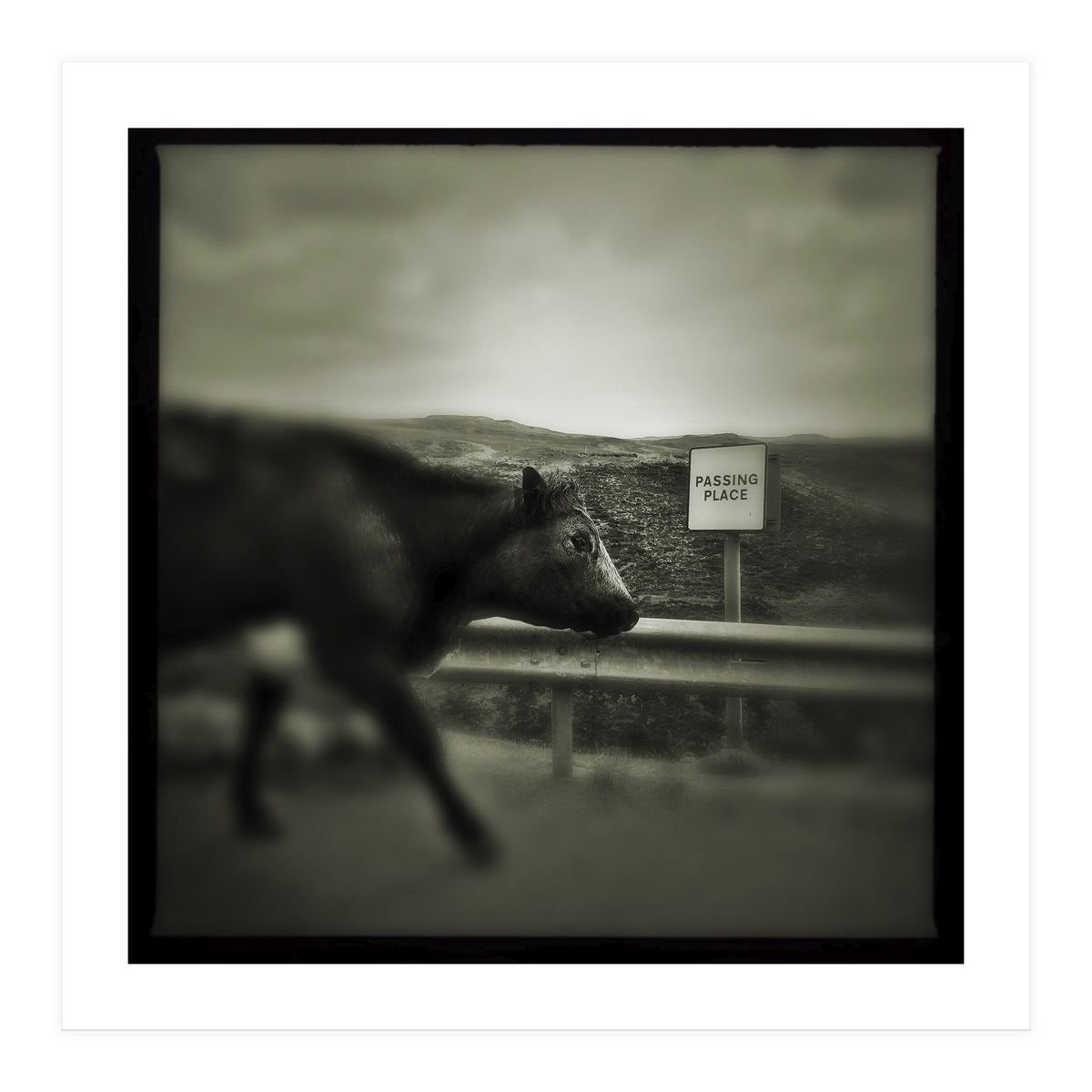 Struan Road (Print Only)