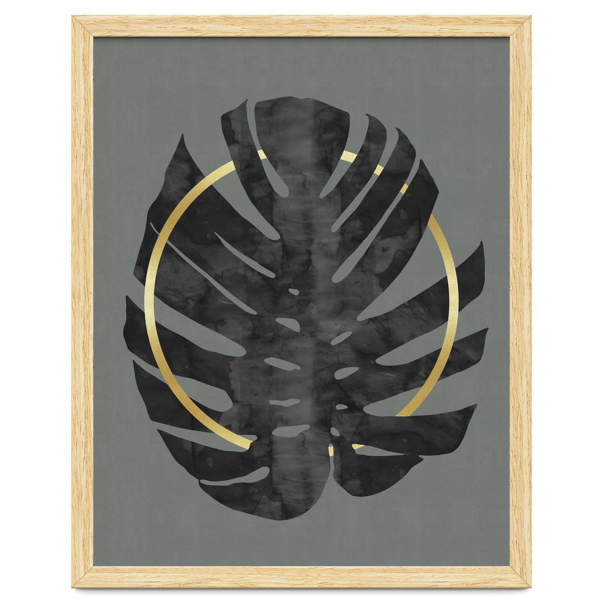 Monstera Deliciosa I