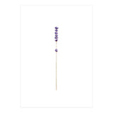 Lavender twig (Print Only) thumbnail