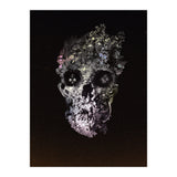 Metamorphosis  (Print Only) thumbnail
