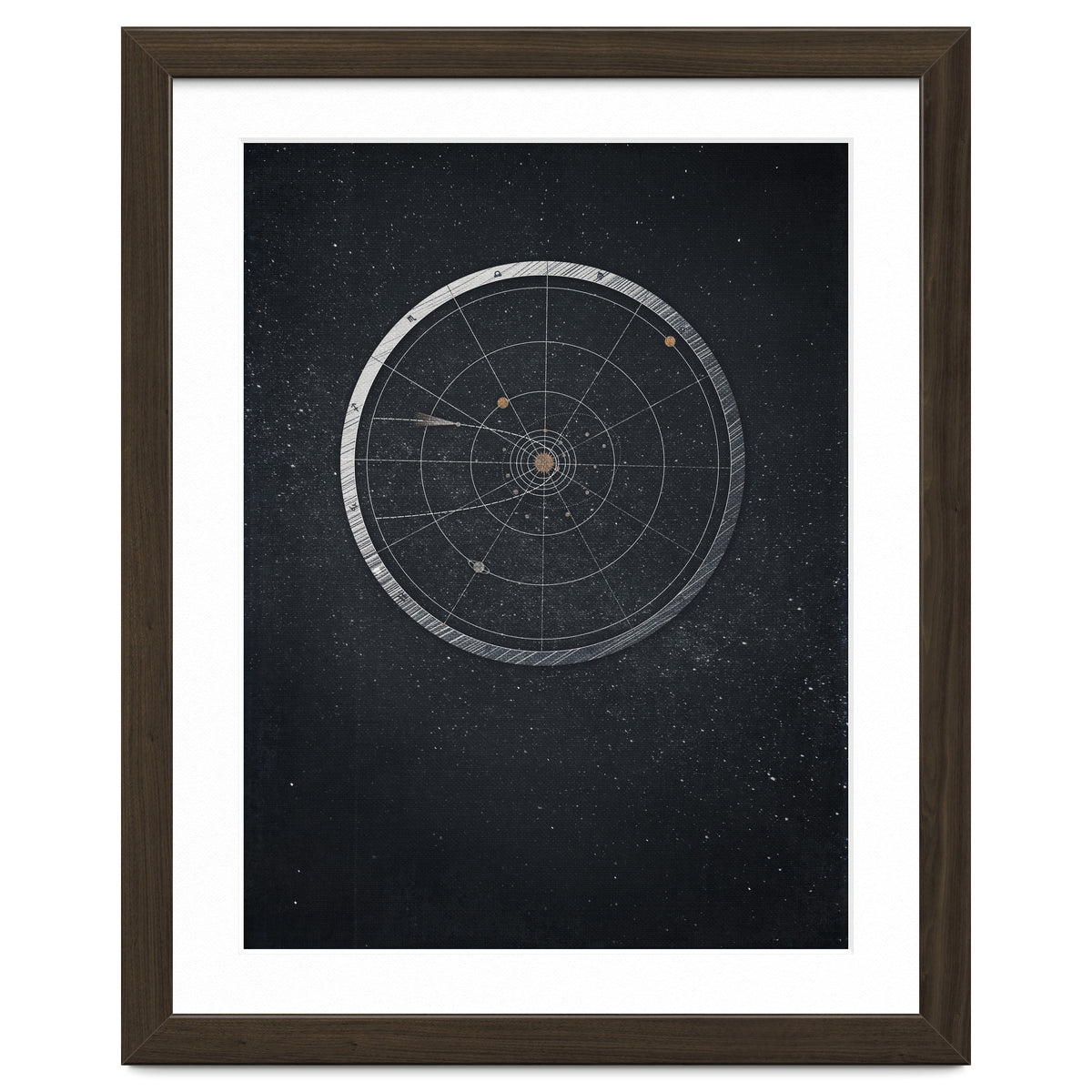 Vintage Cosmos: Hayley's comet