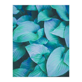 Leaf Me Alone (Print Only) thumbnail