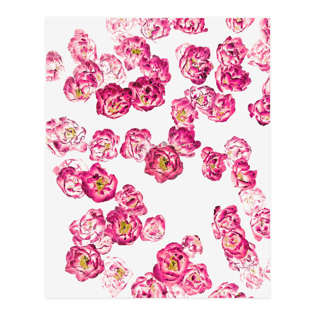 Pink Heaven (Print Only)