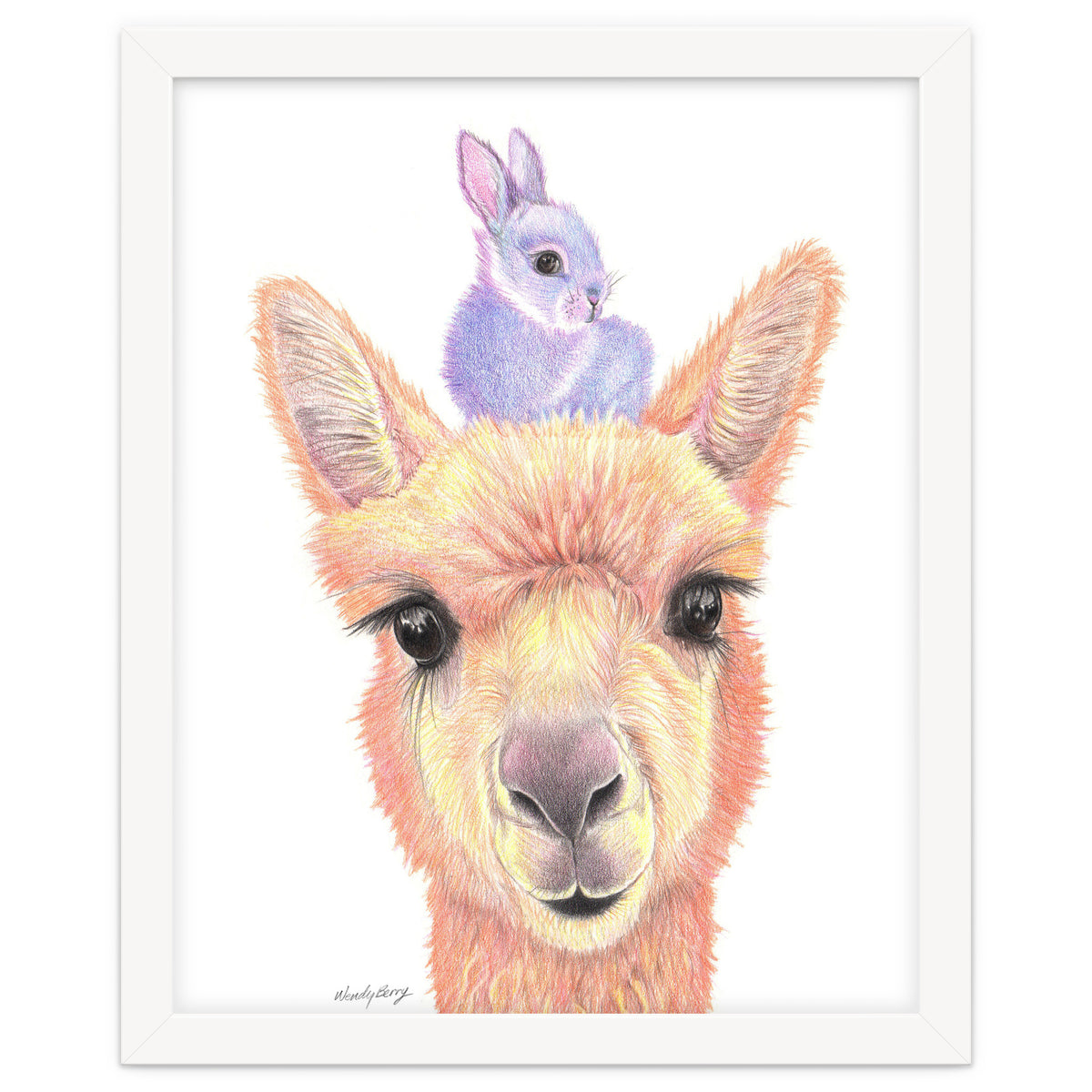 Alpaca and Bunny