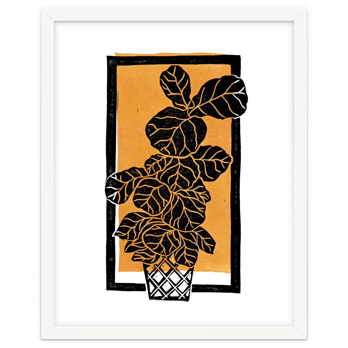 Fiddle Leaf Fig Clean + Sunlight