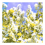 The Contrast Of Desire (Print Only) thumbnail