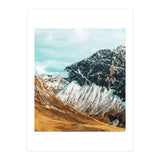 Carter (Print Only) thumbnail