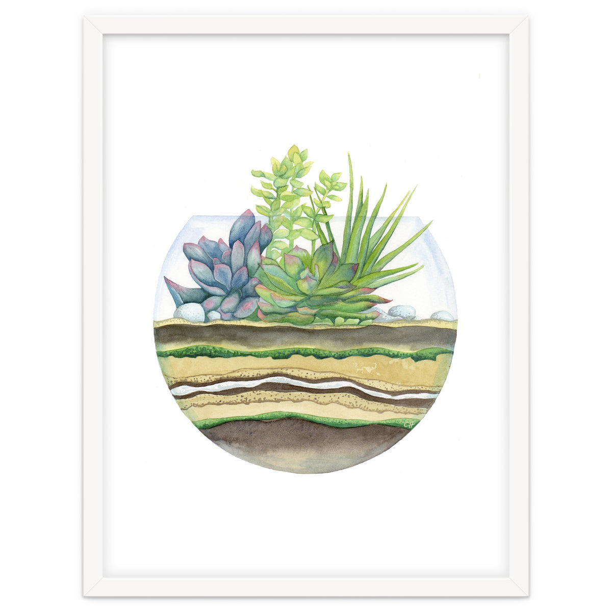 A Little Green Terrarium