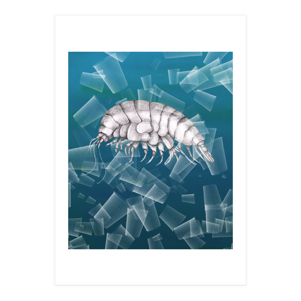 Eurythenes Plasticus (Print Only)