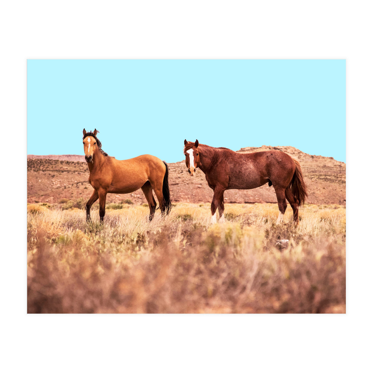 Horses #society6 #decor #buyart (Print Only)