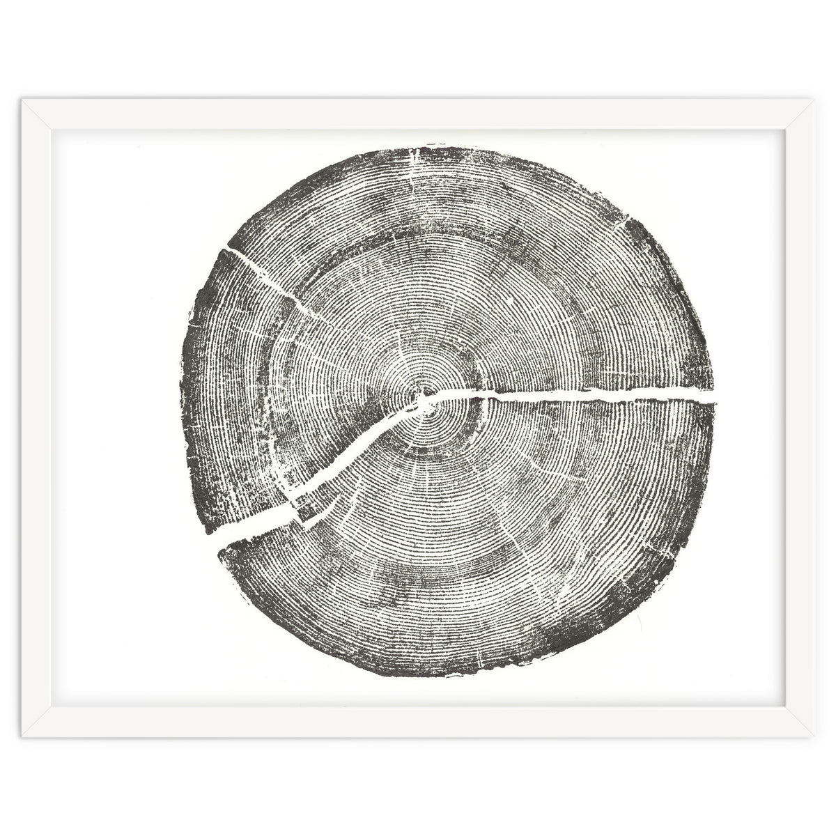Rock Canyon, Tree Ring Print, Woodblock