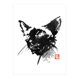 Siamois 03 (Print Only) thumbnail