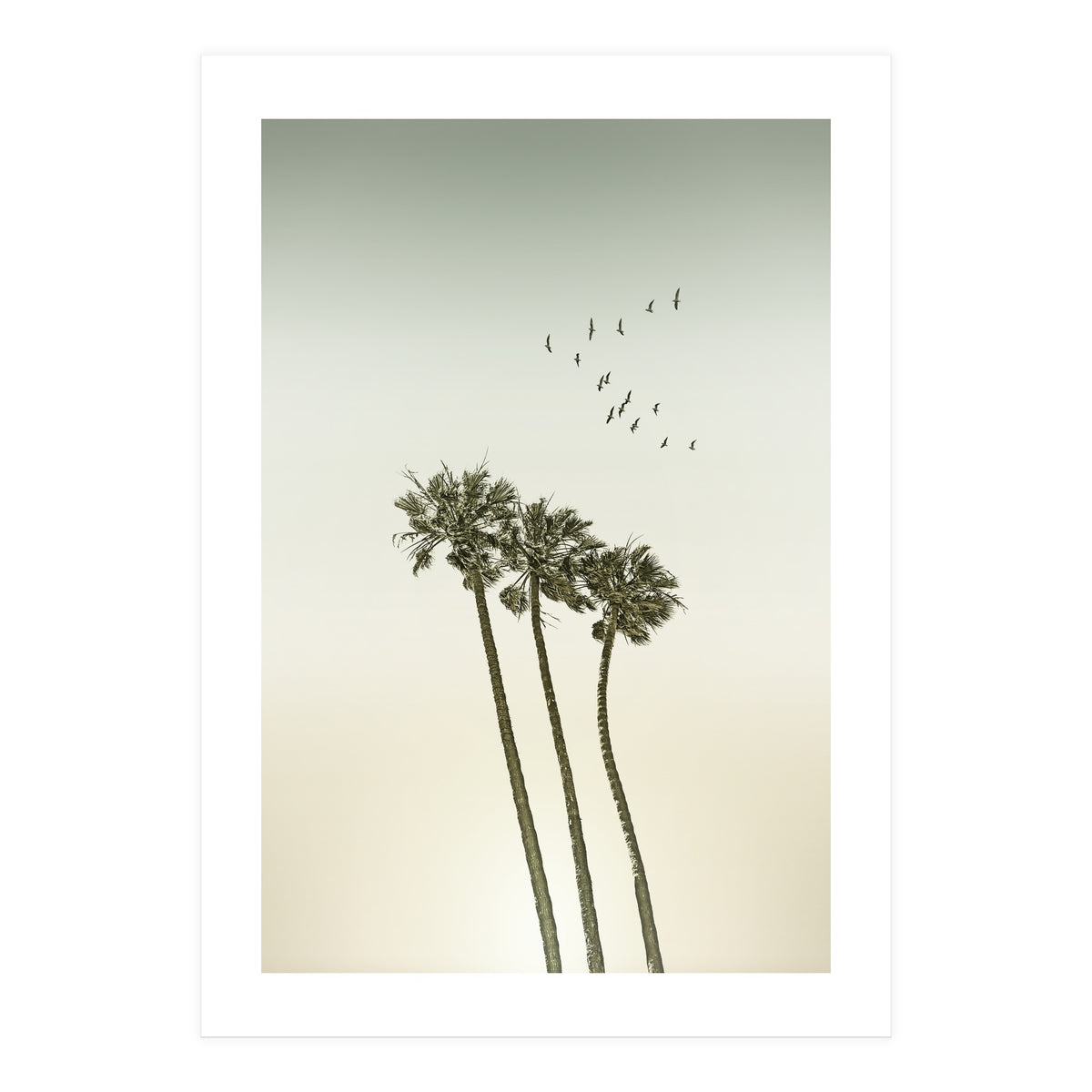 Vintage palm trees at sunset (Print Only)