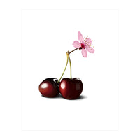Cherry Blossom (Print Only)