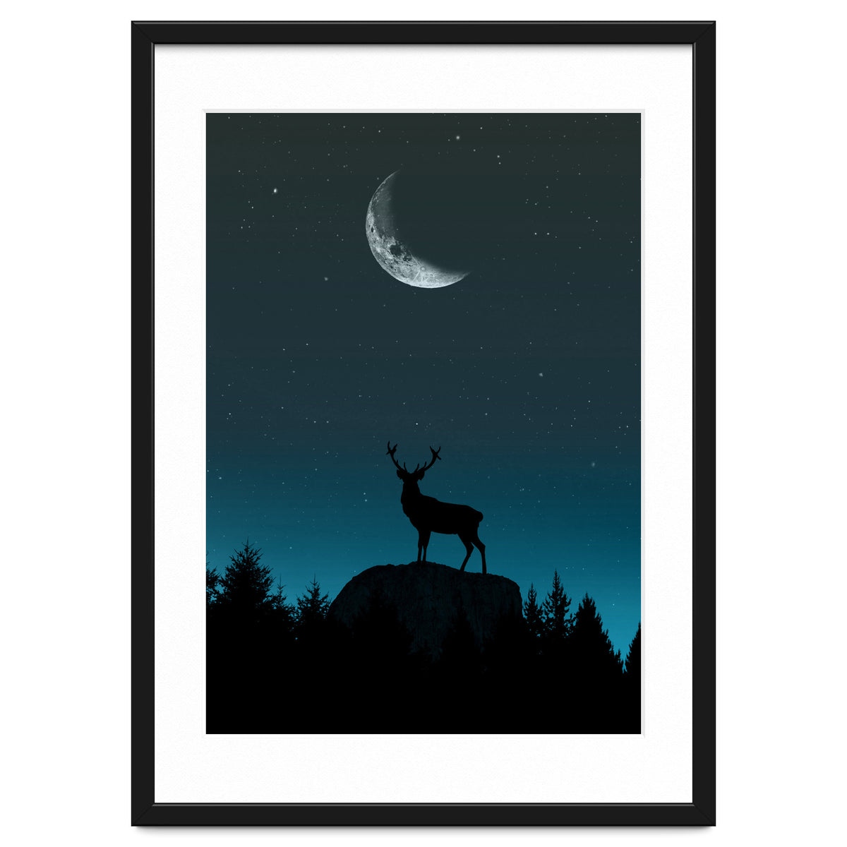 Wild Nature - Nocturne