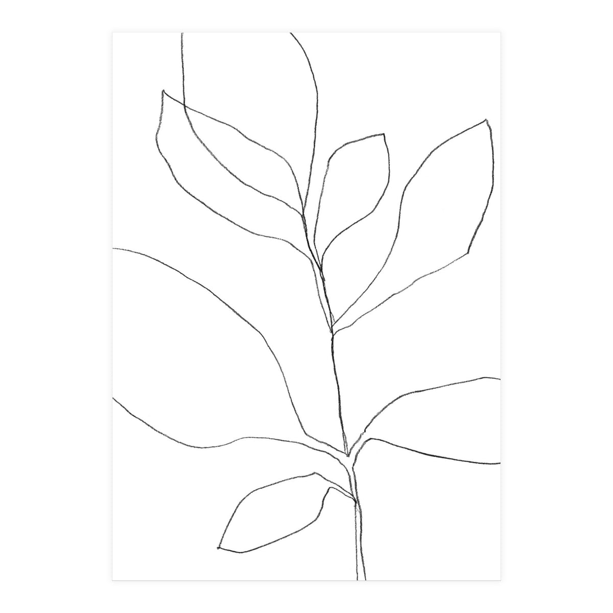 Seven Leaf Plant (Print Only)